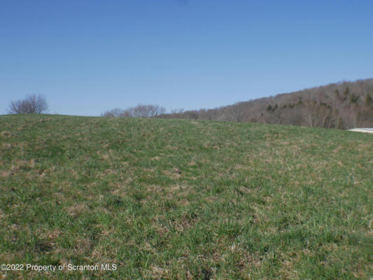 BELL MOUNTAIN ROAD, CLIFFORD TWP, PA 18407, photo 3 of 6