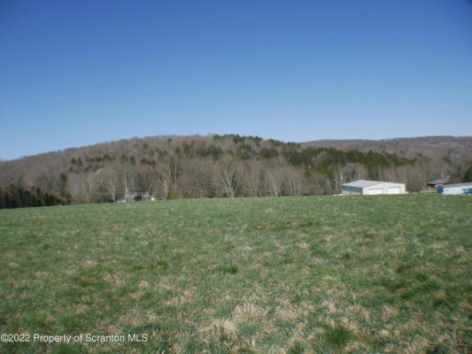 BELL MOUNTAIN ROAD, CLIFFORD TWP, PA 18407, photo 5 of 6